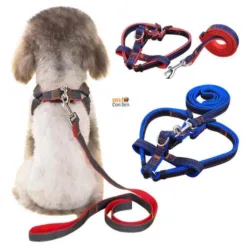 Convenient Pet Walking Leash