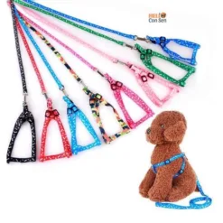 Convenient Pet Walking Leash