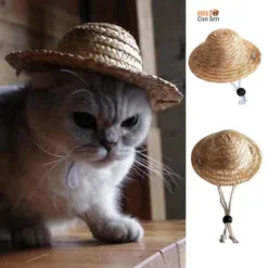 Retractable Pet Hat