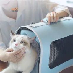 Heat shock resistant carrier bag for dogs and cats