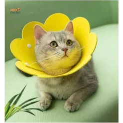 Anti-licking collar for dogs and cats with colorful flower shape, beautiful material