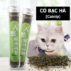 Canip cat mint makes cats excited and reduces stress effectively